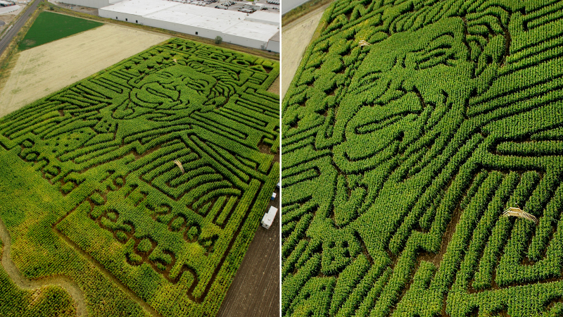 Illustration for article titled 23 Amazing Labyrinths To Get Lost In